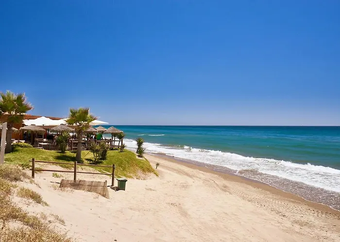 Oleholidays 205 Romana Playa Primera Linea Playa